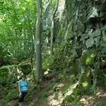 Rhoener Haus Zur Wasserkuppe מלון Ehrenberg (Hessen)