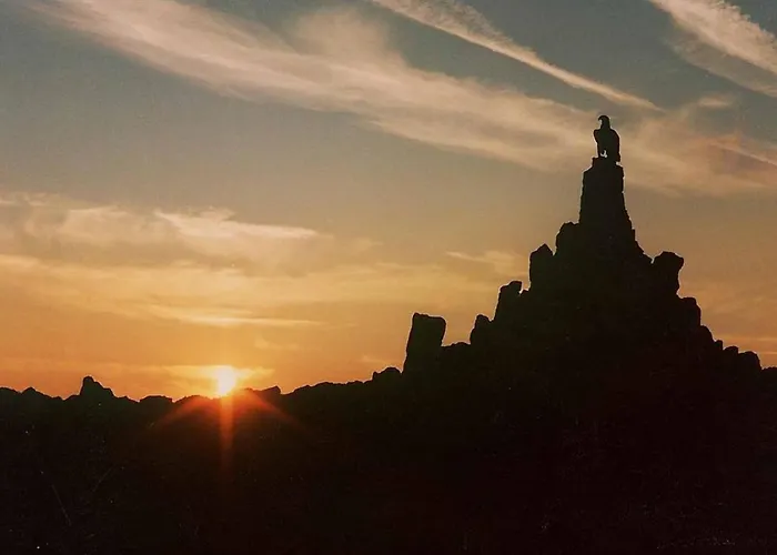 Rhoener Haus Zur Wasserkuppe * Ehrenberg (Hessen)