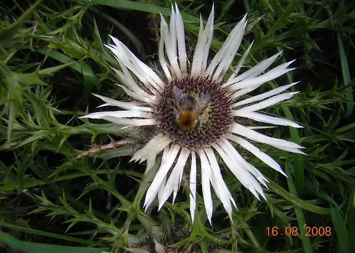 Rhoener Haus Zur Wasserkuppe * Ehrenberg (Hessen)