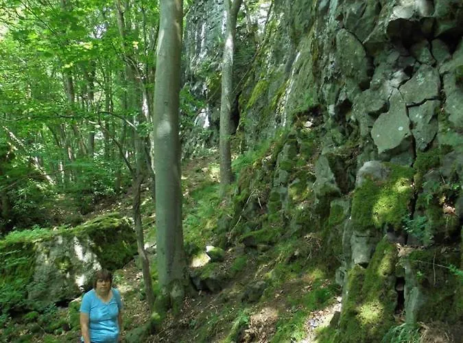 Rhoener Haus Zur Wasserkuppe Отель Ehrenberg (Hessen)